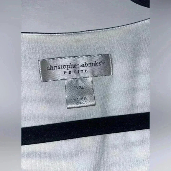 Christopher & Banks Women’s Petite XL Striped Blouse - Picture 2 of 5